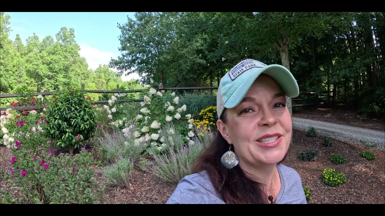 Преобразите свой сад потрясающими вечнозелеными растениями