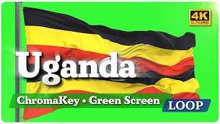 Uganda Waving Flag | Уганда. Развевающийся флаг [4K Chroma Key Loop]