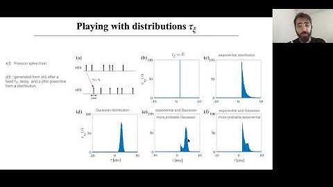 CS01D - R. De Oliveira Pena: Revealing the link between spiking cross-correlation patterns and...