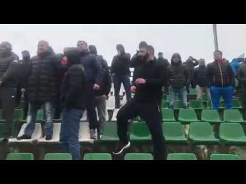 ტორპედოს ფანები