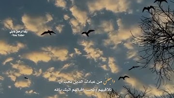 راحة نفسية🤍🌿حالات واتس اب قران/آيات قرانية قصيرة/ستوريات انستقرام