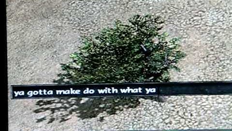 Age of Empires 3 Cheats (Part 2)