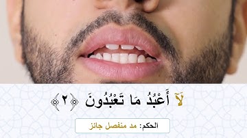 تعليم التجويد | سورة الكافرون