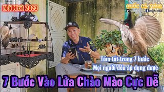 Vào lửa cho chào mào dành cho những anh em mới tham gia bộ môn chào mào thi đấu