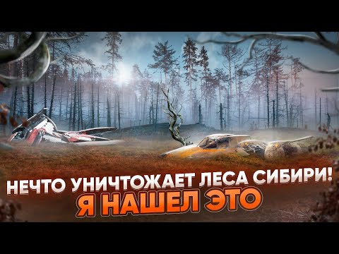 Видео: УШЕЛ В ЛЕС, СТРАШНЫЕ НАХОДКИ, МРАЧНАЯ ОБСТАНОВКА, ЖУТКИЙ ПОХОД.