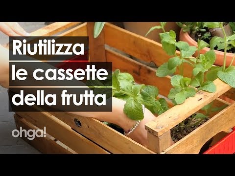 Cassette della frutta: come riutilizzarle in modo creativo!