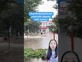 How Northeasterners cope with a disaster with humor