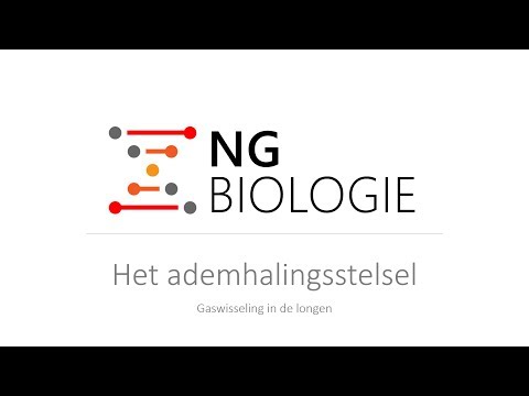 Video: Verschil Tussen Zuurstofrijk En Gedeoxygeneerd Hemoglobine