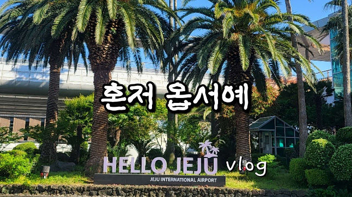 일상vlog ]6월 긴박한 1박제주.짧지만알찬여행.오는정김밥/쇠소깍 카약/용두암/오션카페/아베베베이커리/제주동문시장/오메기떡