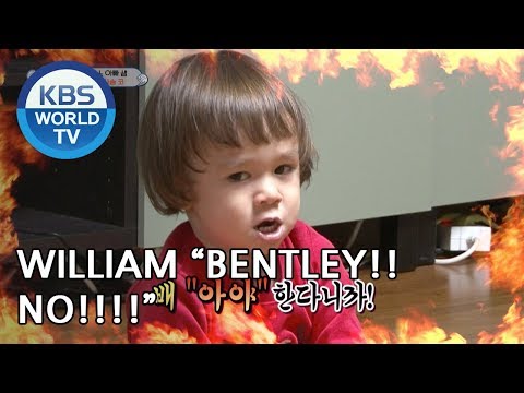 William "Bentley, NO!!"[The Return of Superman/2018.12.23]