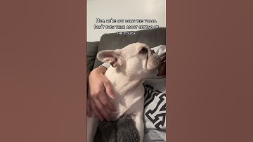 Monday Mood #relatablemom #mondaymood #doghumor