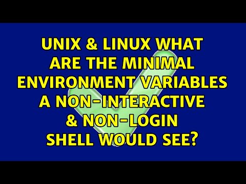 What are the minimal environment variables a non-interactive & non-login shell would see?