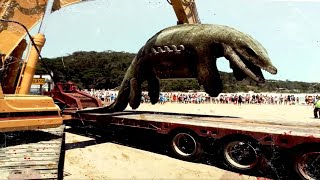 Top 5 Prehistoric Animals Found Frozen In Ice! Top 5 Prehistoric Animals Found Frozen In Ice!