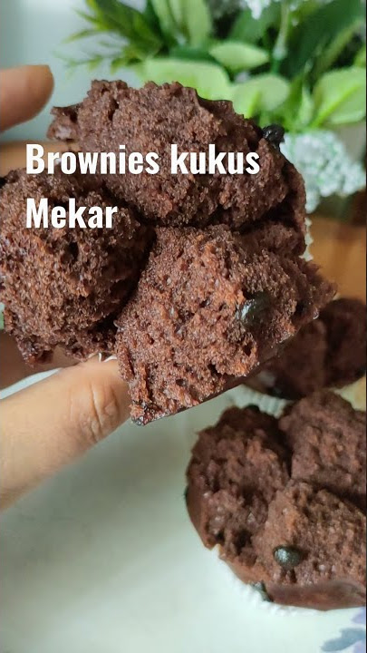 Brownies kukus mekar choco chips
