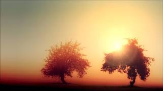 Vivian Roost - Autumn Rain (Rework)
The re-work of Autumn Rain by French pianist and composer Vivian Roost.
Support@
YOUTUBE: https://www.youtube.com/user/Vivianroost
WEB SITE : http://www.vivianroost.com/
FACEBOOK : http://www.facebook.com/vivianroostmusic
INSTAGRAM : https://www.instagram.com/vivianroost_piano/
🎹 Piano Lounge
YouTube: https://www.youtube.com/channel/UCHG6WDS4KbD2j9XXRyhFOKg
SoundCloud: https://soundcloud.com/piano-lounge-125794806
Facebook: hhttps://www.facebook.com/Piano-Lounge-344801679237245/
📩 Submissions
https://www.submithub.com/blog/piano-lounge
Photography by Johannes Plenio
https://www.pexels.com/@jplenio Vivian Roost - Autumn Rain (Rework)