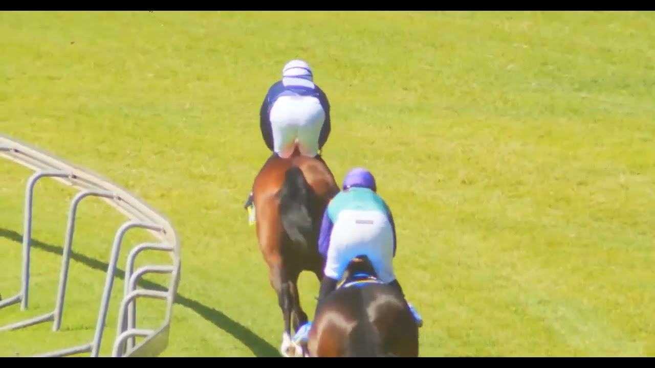 TOUGH TERRAIN - RACE 3 Hollywoodbets 