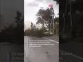 Негода у Львові: повалені дерева, будинки #львів #rain #ukraine #ucraina #rainyday #raining
