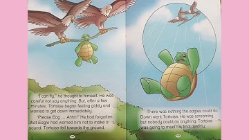 The foolish tortoise.