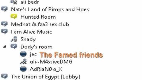 Mountrix Gaming and Public teamspeak Server