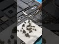 MacBook cleaning | MacBook repair | MacBook service | MacBook cleaning at home |izone service centre