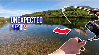I fished a PERCH GOLDMINE! and BROKE my PB?!