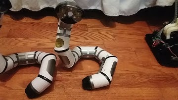 WowWee Mini Roboboa & Mini Fake Roboboa Comparison