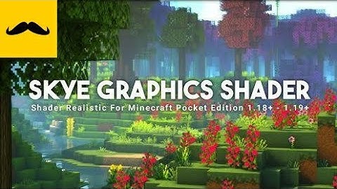 Minecraft Shader 1.19.50: Forest life and nights