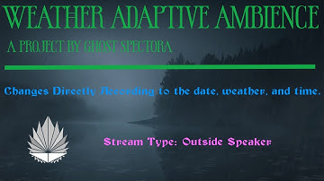 A Calm Forest Walk At Night On A Cool Winter Day | Adaptive Ambience (Outside Speaker)