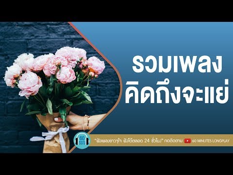 รวมเพลงคิดถึงจะแย่ [ COCKTAIL,POTATO,Silly fools,พลพล ]