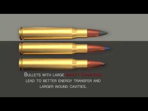 Winchester Deer Season Xp 308 Ballistics Chart