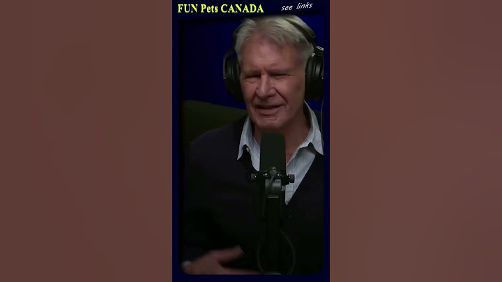 HARRISON Ford is German-Irish? 😂CONAN O'Brien🤣