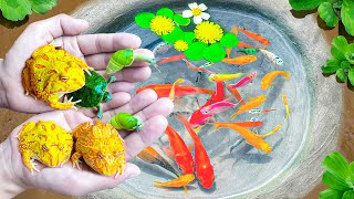 Super Amazing Catching A Lot Frog, Turtles, Ornamental Snails, Ranchu Fish & KOi Fishes in Tiny Pond by Uri Fishing 18,386 views 10 days ago 41 minutes