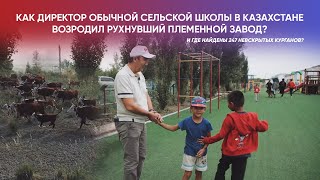 История о том, как директор обычной сельской школы в Казахстане возродил рухнувший племенной завод