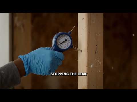 Video thumbnail: Mold After Water Damage in NYC: What to Do in the First 48 Hours