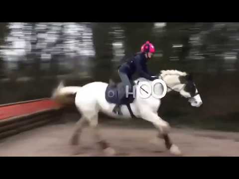 funny-and-jumping-fail-horse-videos-compilation-2018---horse-fail