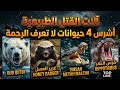 آلات القتل الطبيعية أشرس 4 حيوانات لا تعرف الرحمة