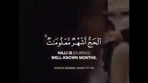 الحج اشهر معلومات/ القارئ عبد الرحمن مسعد💞