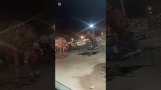 Northern Mandi me Camal ki rounak(یشیا بڑی منڈی اپ لوگ ضرور جایں) 🙏👍