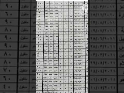 نتيجة الصف الرابع والخامس الابتدائي الان علي موقع وزارة التربية والتعليم وزارة التربية والتعليم