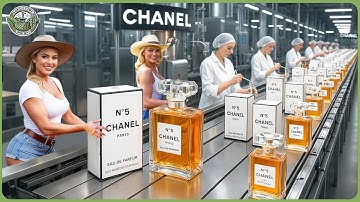 How Perfume Is Made – Inside Luxurious Perfume Processing Factory