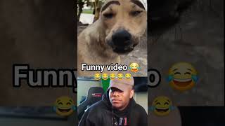 funny video 😂 #lakhimpur #funny #palia #comedy #viral #memes#shortvideo #song #dogeshbhai#funnymemes