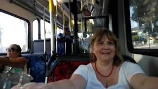 20190129 Sydney wild bus driver