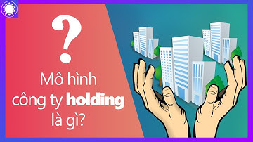 Mô Hình Công Ty Holdings Là Gì?
