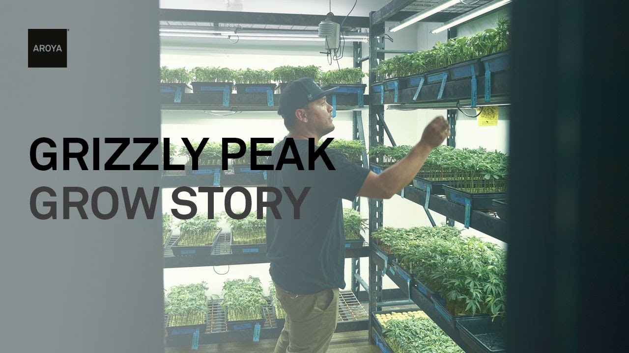 Grow Story: Grizzly Peak