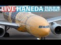 🔶LIVE📡 '25/6/24 羽田空港 T2 Tokyo International Airport HANEDA T2 plane spotting
