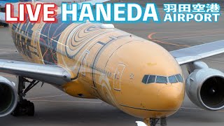 BIG WINGSの配信のサムネイル画像