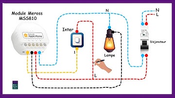 Câblage Interrupteur Connecté Wifi Meross MSS810 Compatible Avec Apple HomeKit I Alexa I Google Home