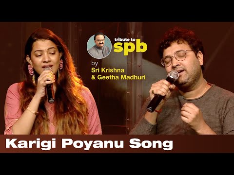 Karigipoyaanu by Srikrishna and Geeta Madhuri | SP Balasubrahmanyam | P Susheela | Ilaiyaraaja |