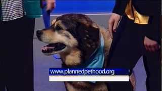 Pet of the Week: Eberly