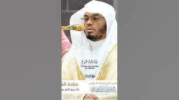 رب السموات والأرض وما بينهما الرحمن_تلاوة مرئية_صلاة الفجر 15 ربيع الآخر 1446هـ_الشيخ ياسر الدوسري